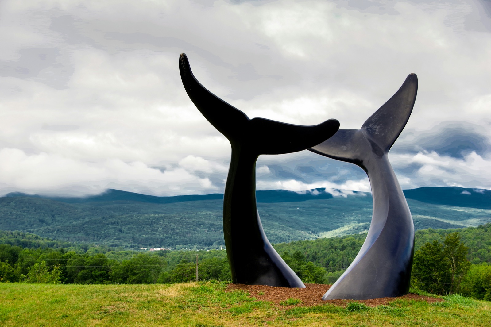 The Whale Tails sculpture at Technology Park, South Burlington, Vermont